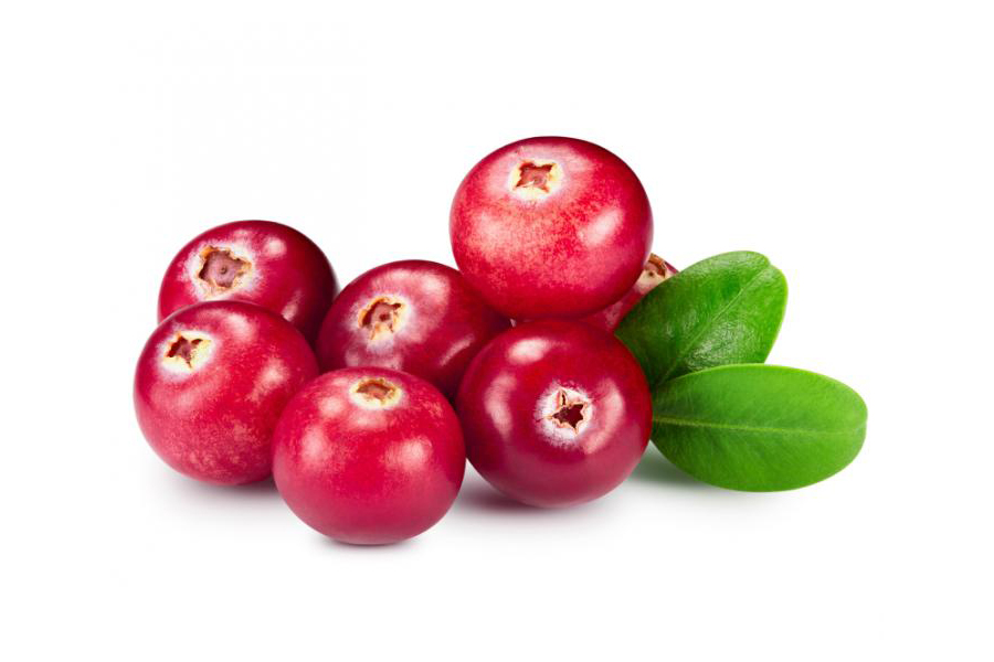 Cranberries Help Urinary Tract Infections