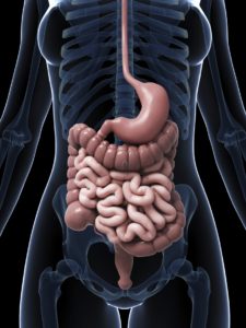 Overview of the GI Tract