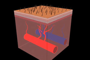 Wound Care Part 1: Physiology