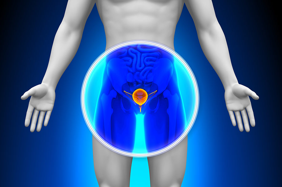 Common Urological Issues