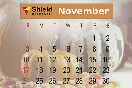 Shield HealthCare November 2013 Calendar