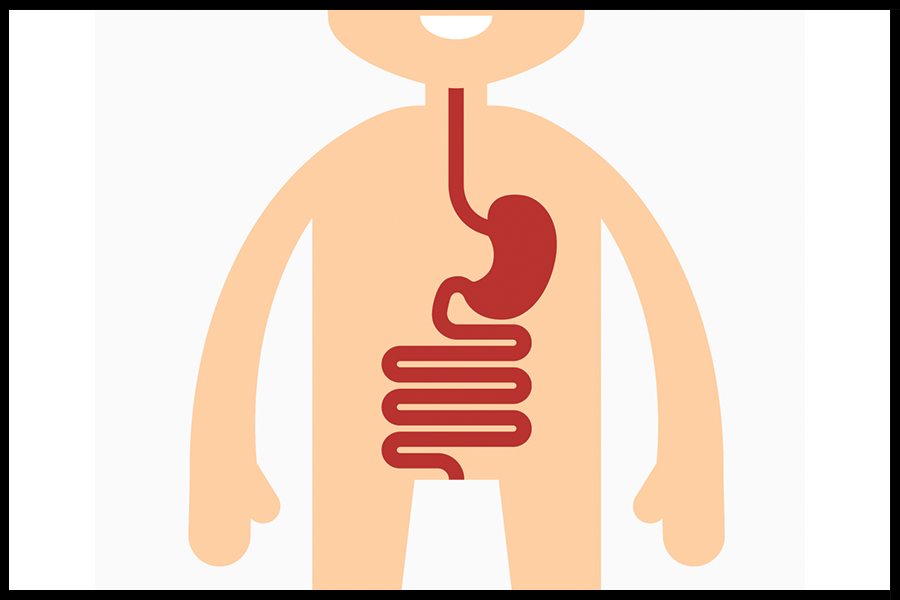 Overview of the GI Tract