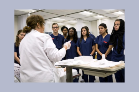 UIS-UIC Nursing Program