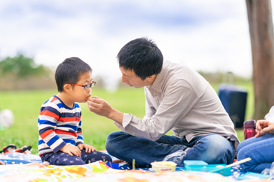 Feeding Strategies Picky Eaters