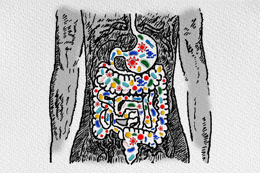 gut microbiome and the gut-brain axis. A hand-drawn illustration of microbiome in the gut.